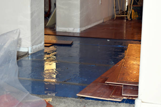 Professional Flood Cleanup technician working in Dumont, NJ